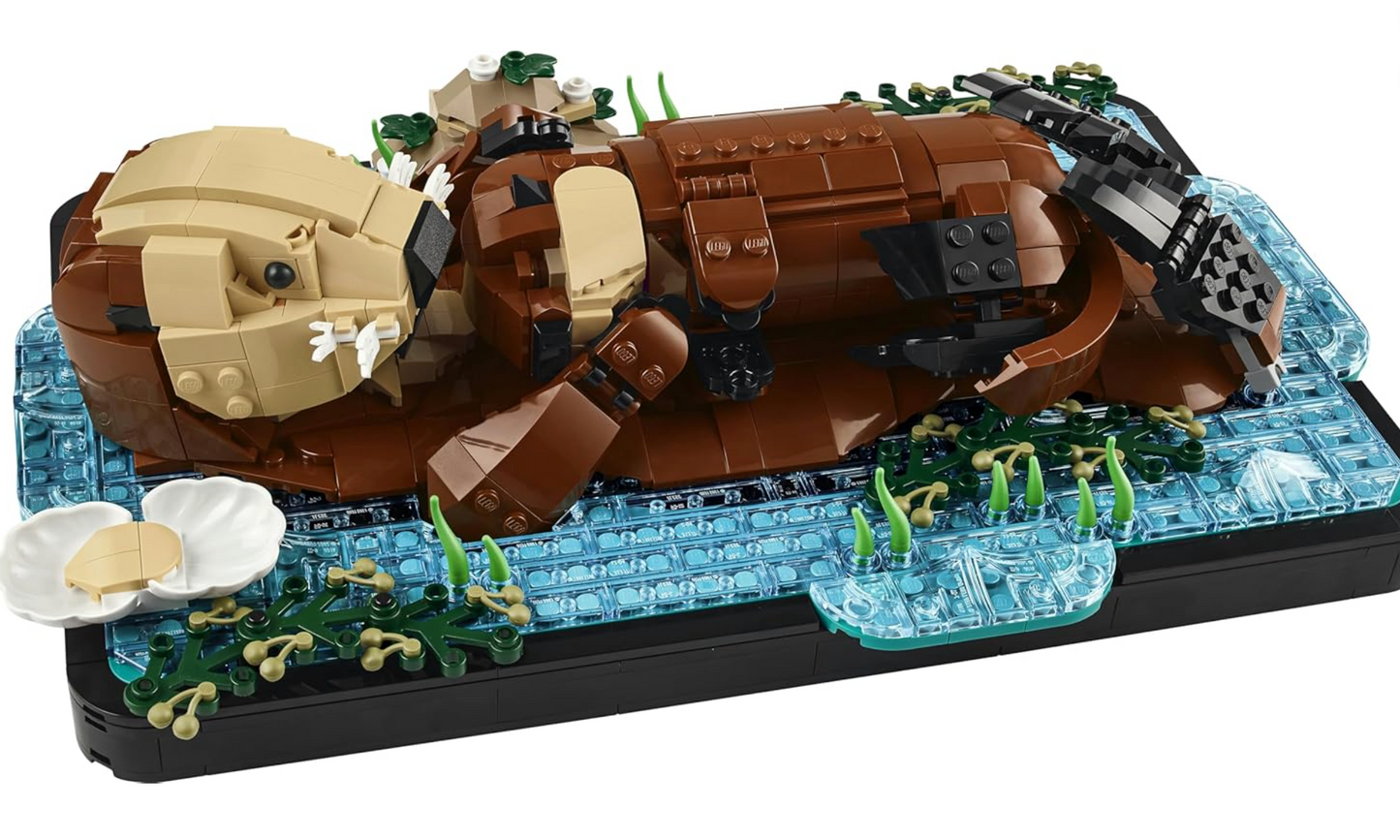 Build a Floating Sea Otter