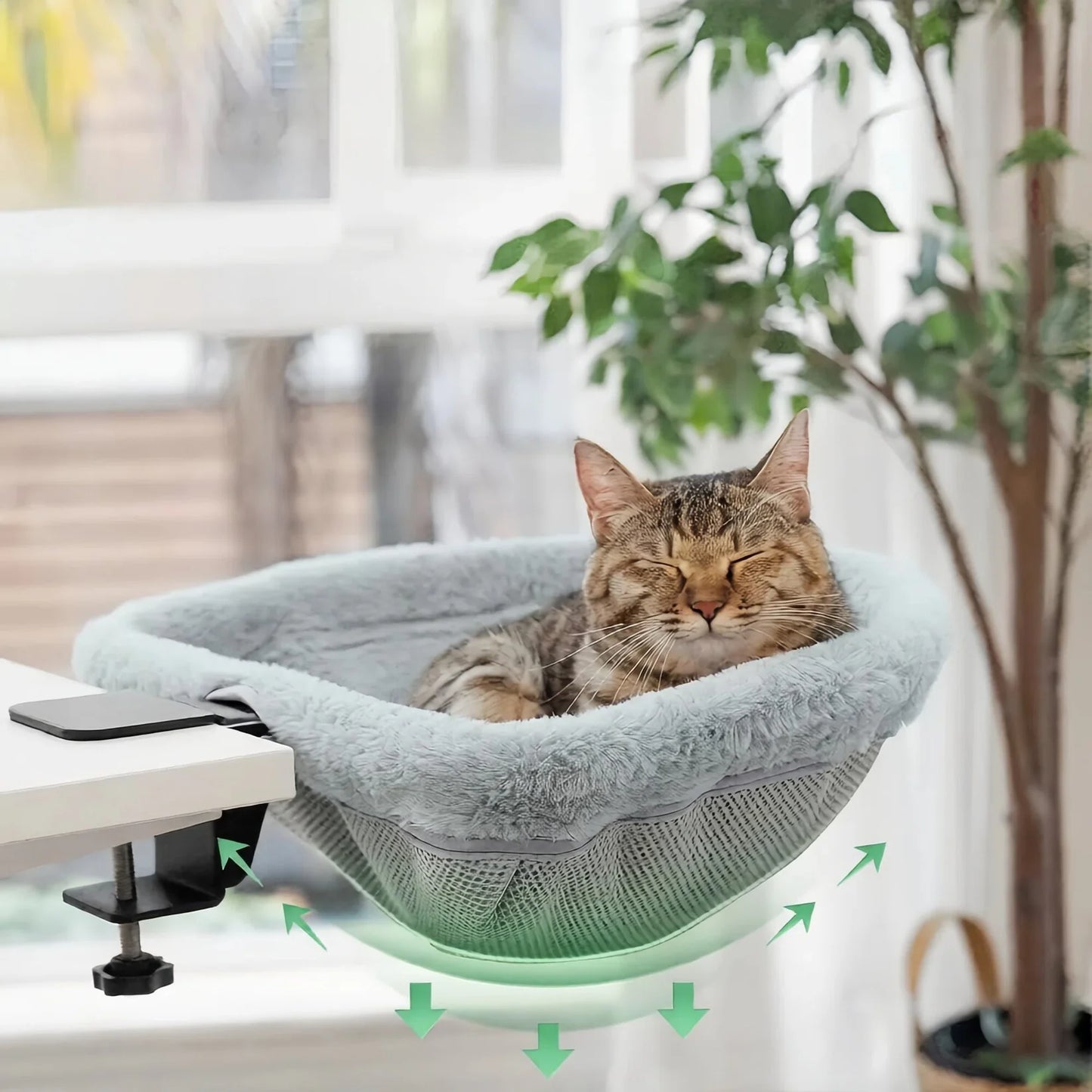 KittyNest Pro