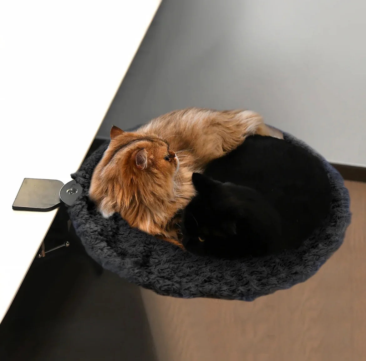 KittyNest Pro