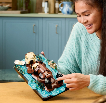 Build a Floating Sea Otter