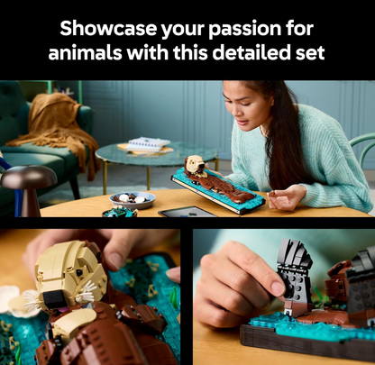 Build a Floating Sea Otter
