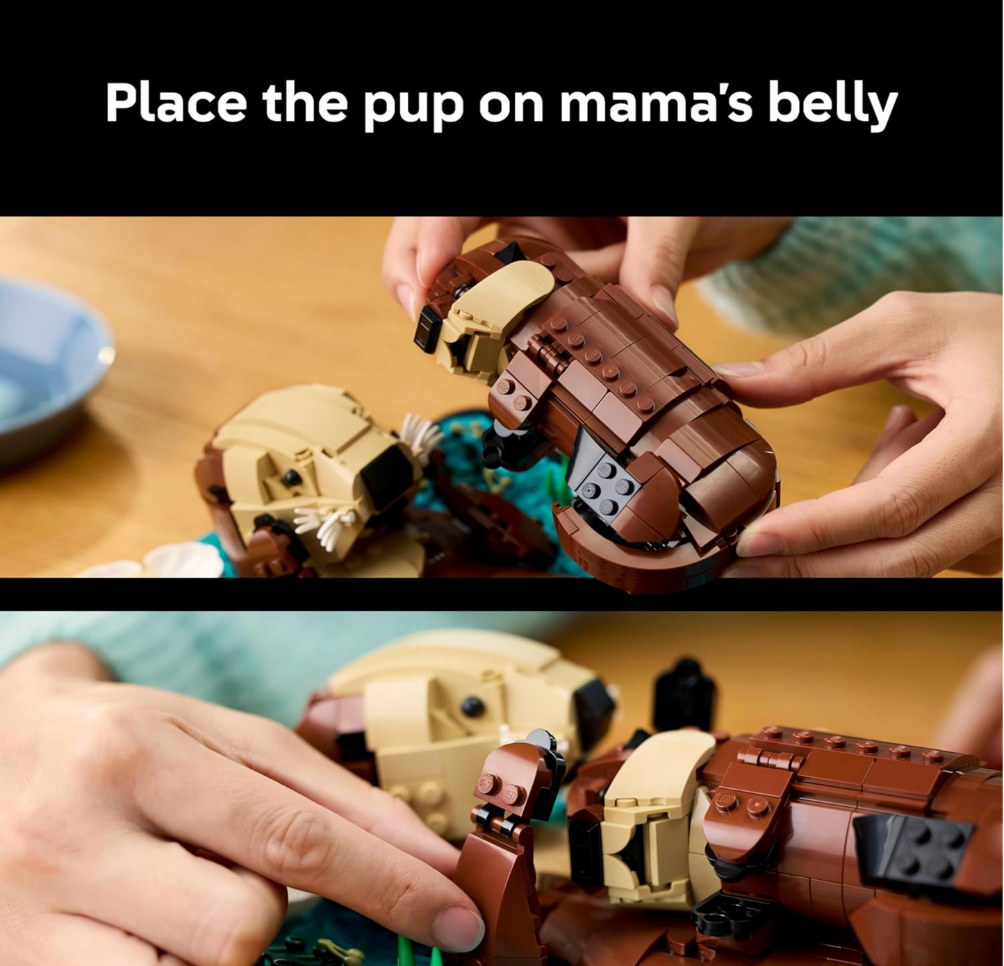 Build a Floating Sea Otter