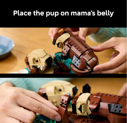 Build a Floating Sea Otter