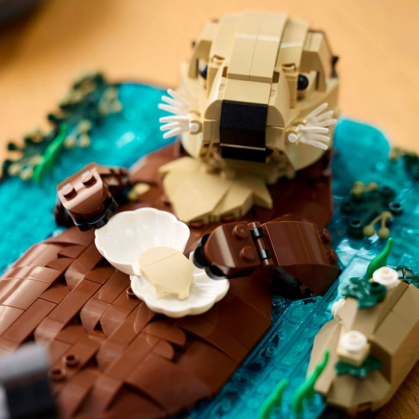 Build a Floating Sea Otter
